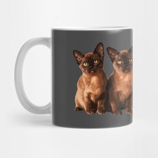 Burmese Cat Cute Kittens Mug